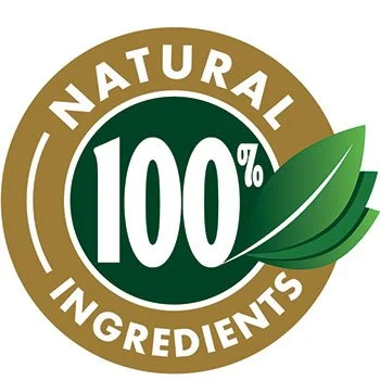 Cognifort naturally focused ingredients