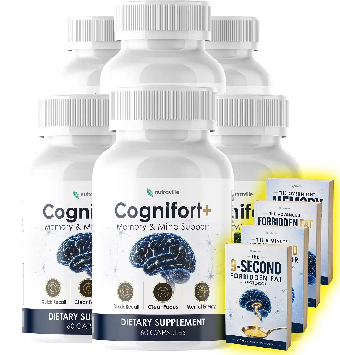 cognifort  special discount